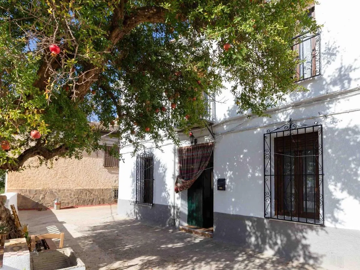 Casa De Las Granadas Niguelas