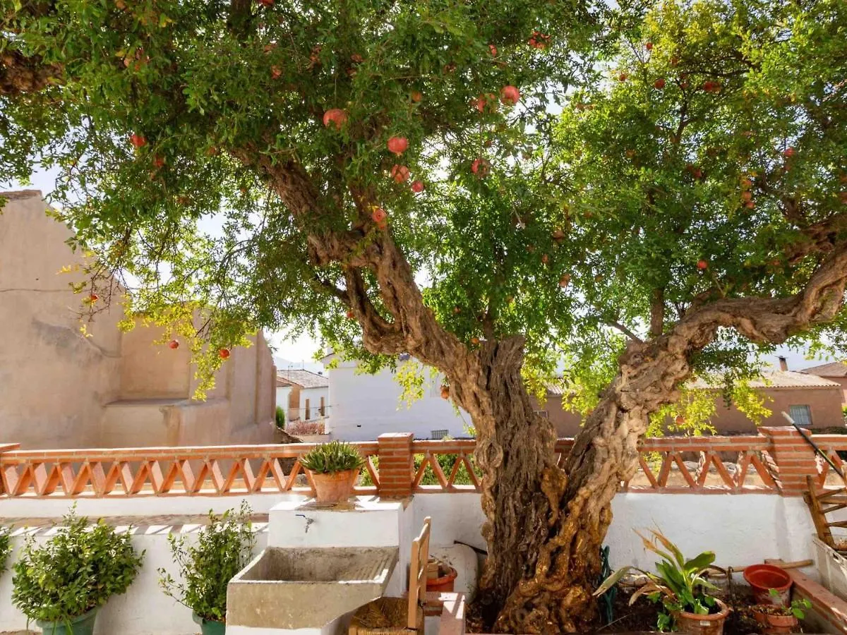 Holiday home Casa De Las Granadas Niguelas