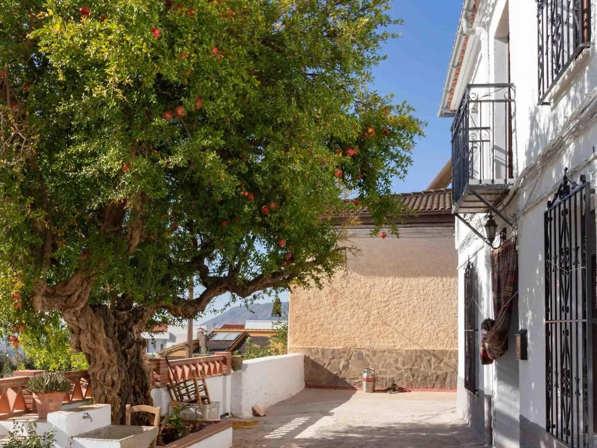 Casa De Las Granadas Niguelas Holiday home