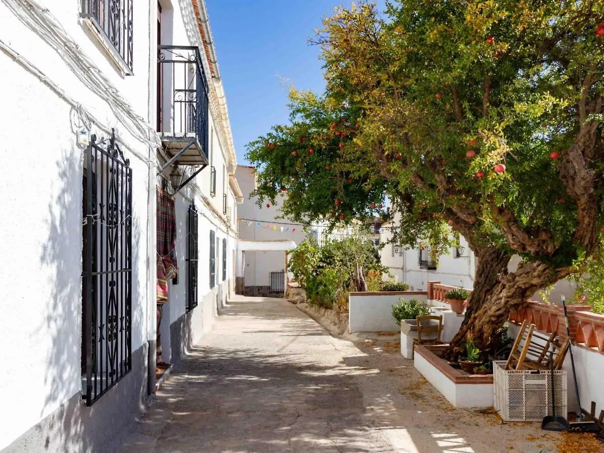 Casa De Las Granadas Niguelas